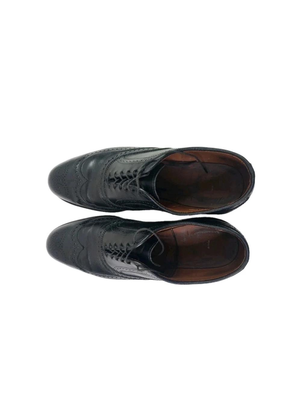 Allen Edmonds classic wingtip